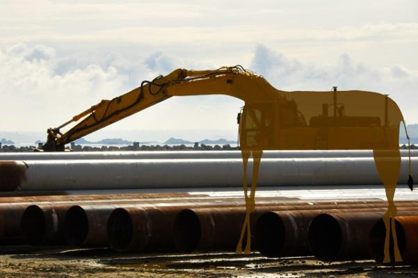 Sandrine Estrade-Boulet, le pouvoir de l’imagination