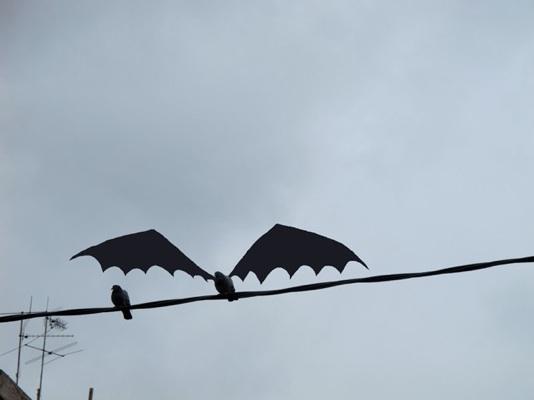 Sandrine Estrade-Boulet, le pouvoir de l’imagination