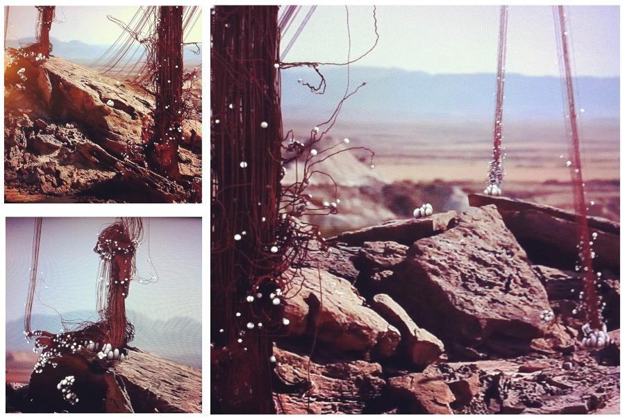 Parasite Choi, l’union fait la force