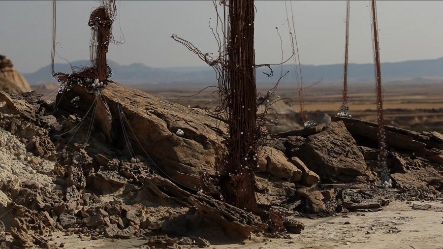 Parasite Choi, l’union fait la force