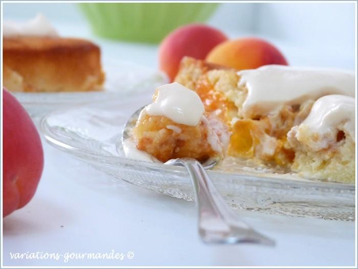 Gâteau d'abricots (sans gluten), sauce mousseline au caramel de miel