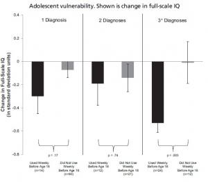 ADOLESCENCE: L’âge bête est-il amplifié par le cannabis? – PNAS