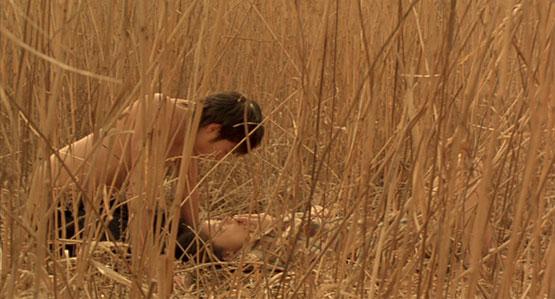 The Passenger : Lignes