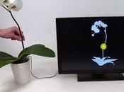 laboratoire Disney plantes musicales