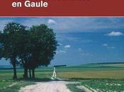 voies romaines Gaule Gérard Coulon