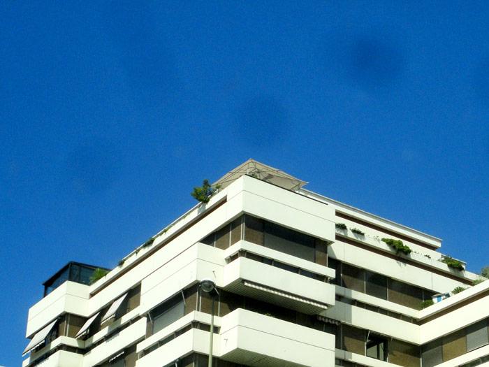 Heartbeat guestly pics