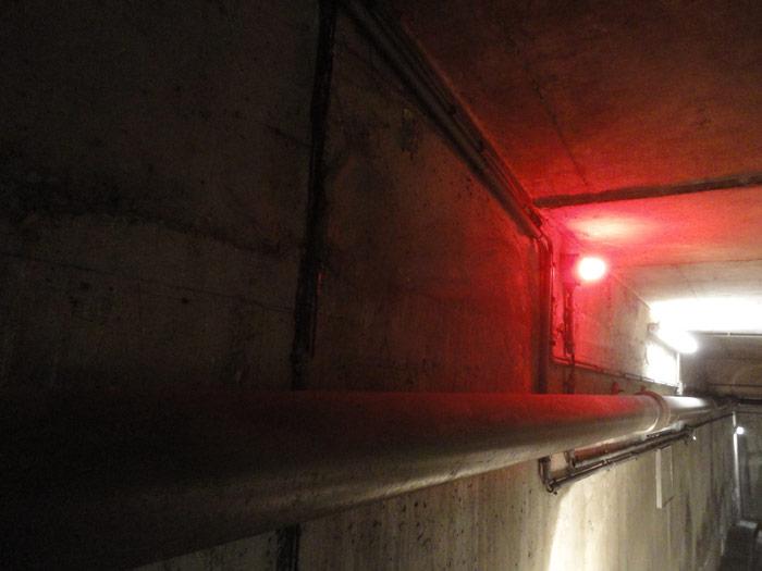 Heartbeat guestly pics