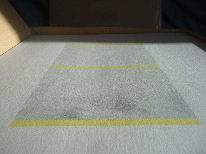 Heartbeat guestly pics