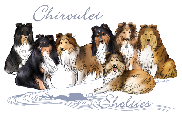 Logo-Chiroulet-finalblog