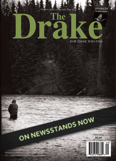 LE DRAKE D’AUTOMNE