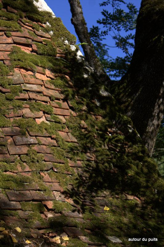 MON PARCOURS DE PRÉDILECTION