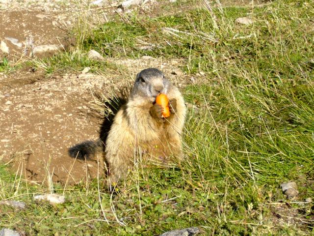 Un été sur la Cote d'Azur ... #6