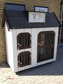 Une niche au supermarché