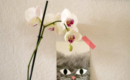 (Moi je dis) Vive la rentrée!!