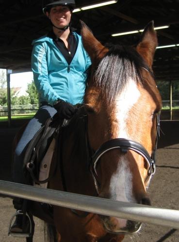 cheval, équitation, cavalier