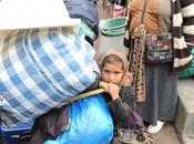 Réouverture chasse Roms