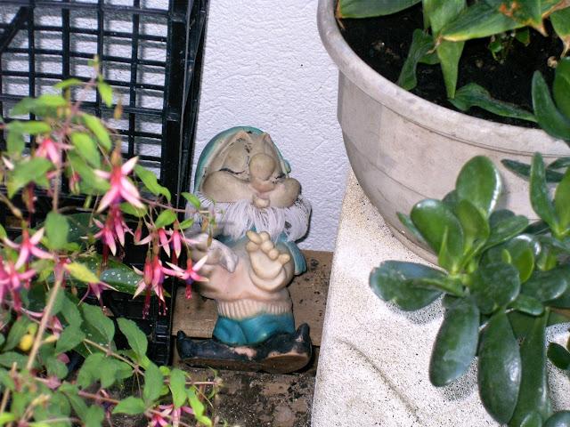 d'où vient le vent?