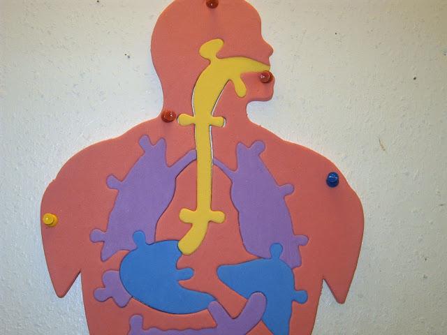 d'où vient le vent?