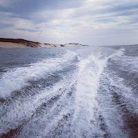 PHOTO DE LA SEMAINE # 31 PHOTO DE LA SEMAINE # 31