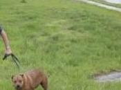 Interlude #25. Wouaf