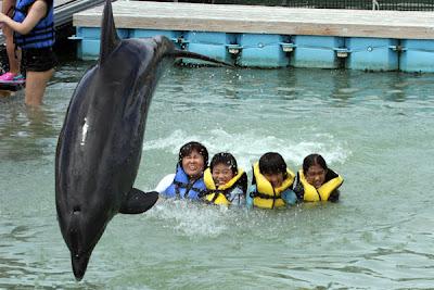 Les enfants et le dauphin