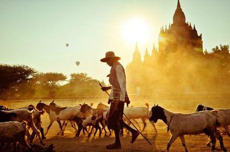 Bagan Bliss