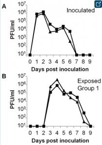 GRIPPE: Le pic de contagion a lieu bien avant les premiers symptômes  – PLOS One