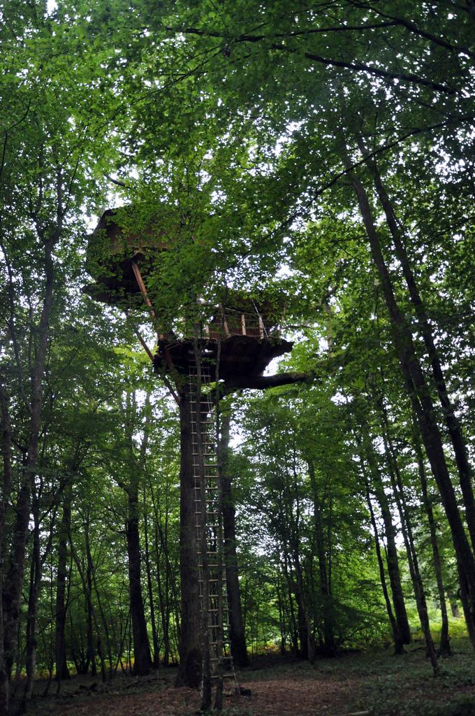 Cabane Perle, une nuit dans les arbres ♥