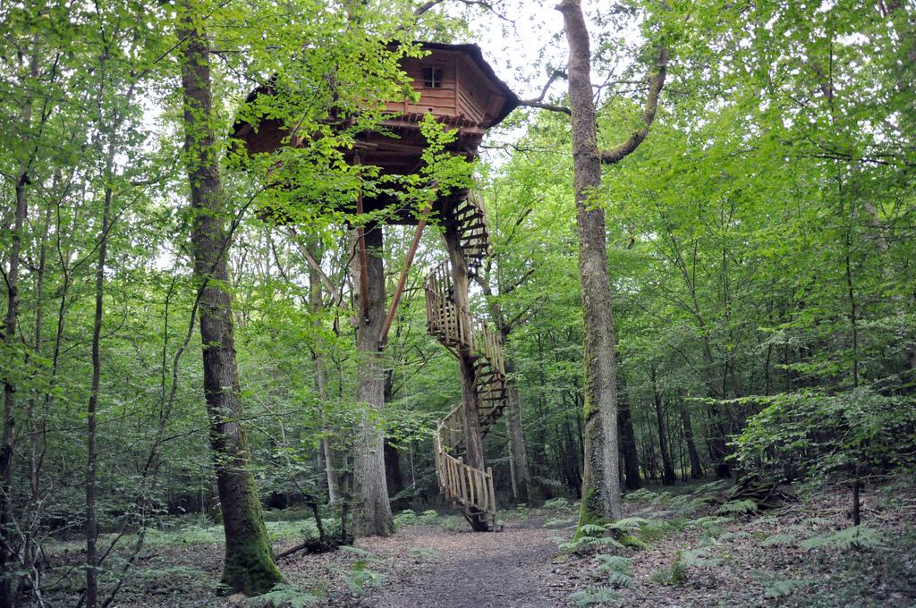 Cabane Perle, une nuit dans les arbres ♥