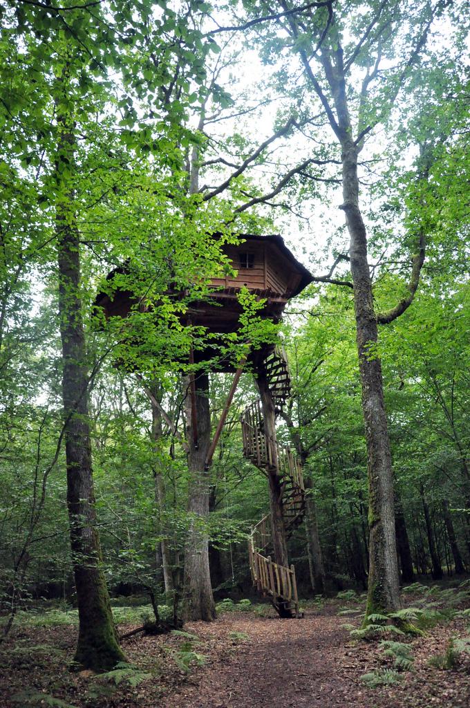Cabane Perle, une nuit dans les arbres ♥