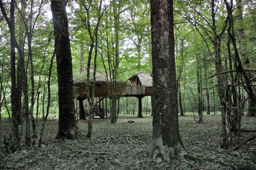 Cabane Perle, une nuit dans les arbres ♥