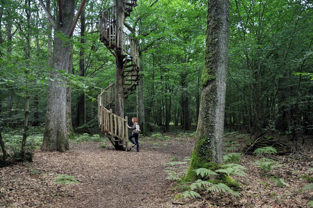 Cabane Perle, une nuit dans les arbres ♥