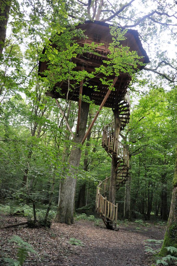 Cabane Perle, une nuit dans les arbres ♥