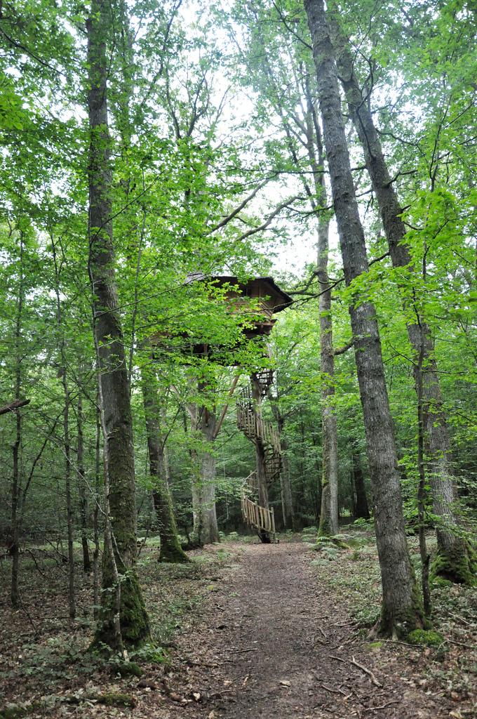 Cabane Perle, une nuit dans les arbres ♥