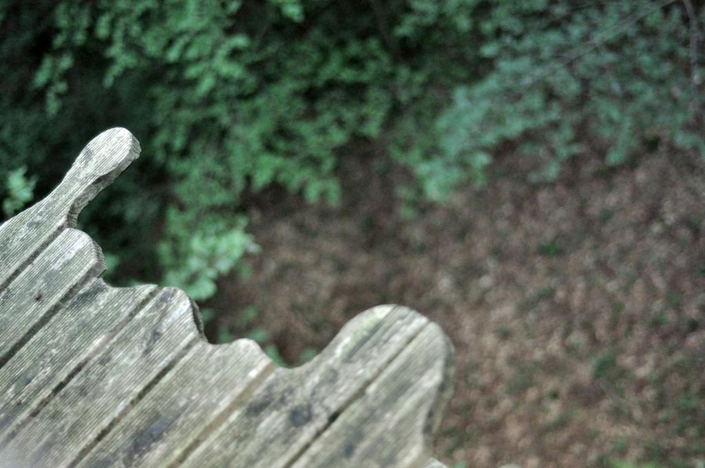 Cabane Perle, une nuit dans les arbres ♥