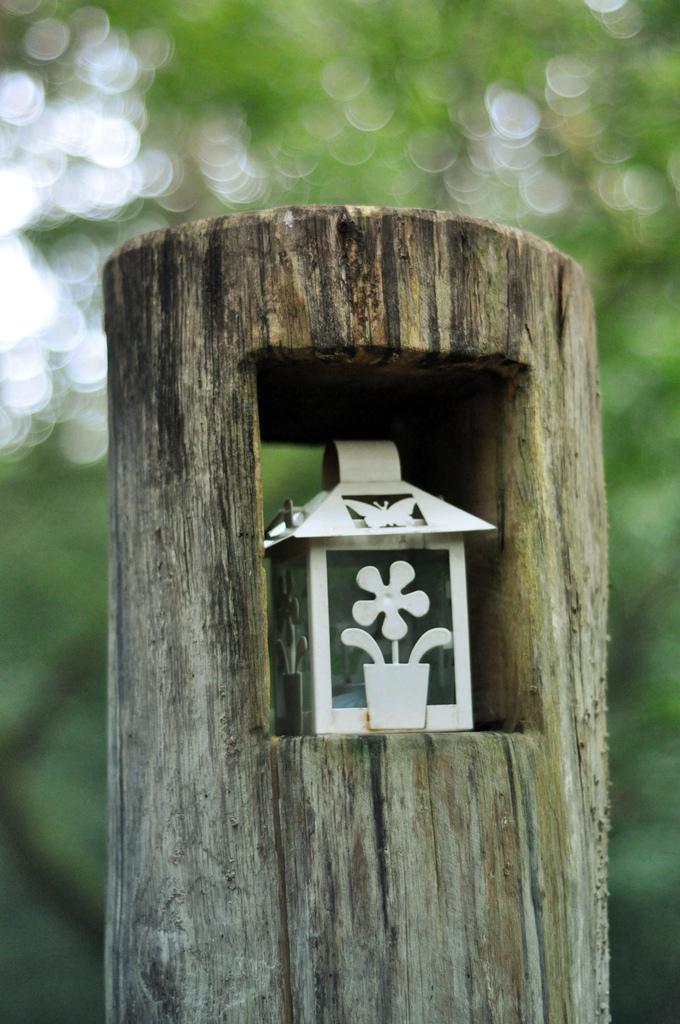 Cabane Perle, une nuit dans les arbres ♥