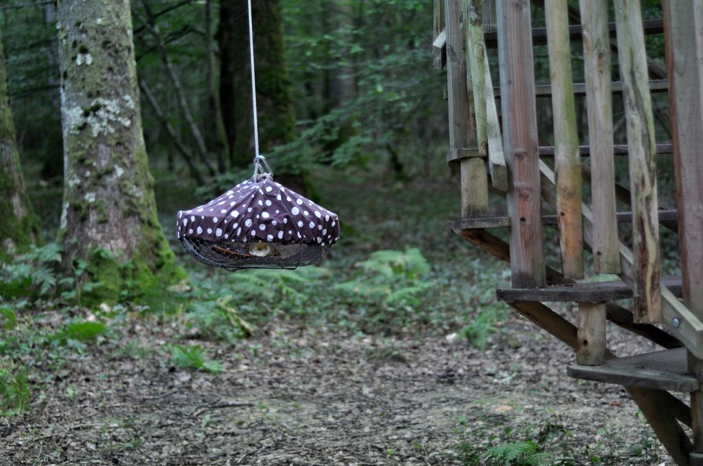 Cabane Perle, une nuit dans les arbres ♥