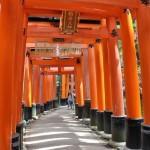 Voyage Japon - Fushimi Inari