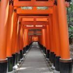 Voyage Japon - Fushimi Inari