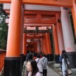 Voyage Japon - Fushimi Inari