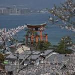 Voyage Japon - Miyajima