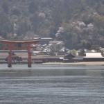 Voyage Japon - Miyajima