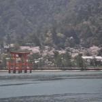 Voyage Japon - Miyajima