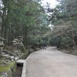 Voyage Japon - Nara