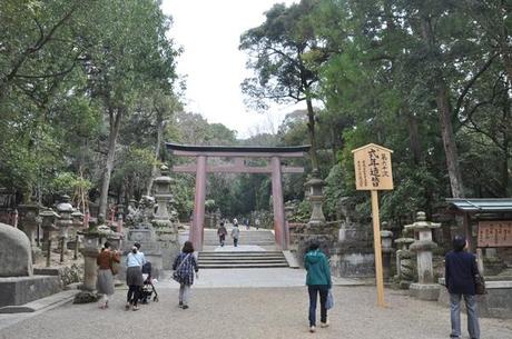 Voyage Japon - Nara