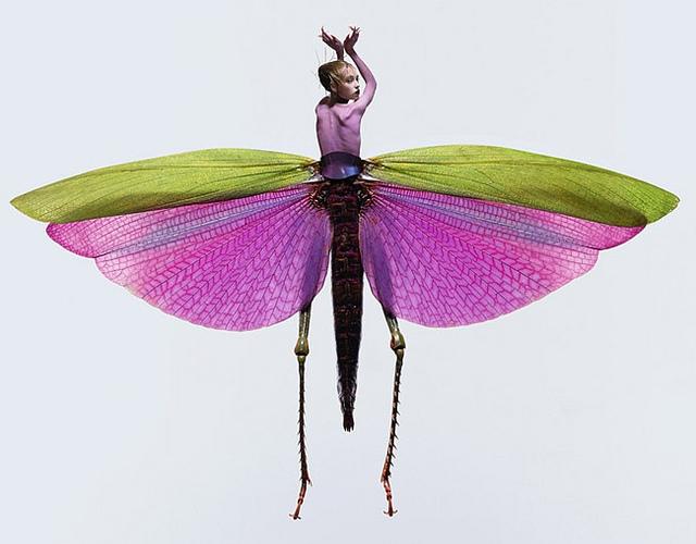 Photographies : Les femmes insectes de Laurent Seroussi