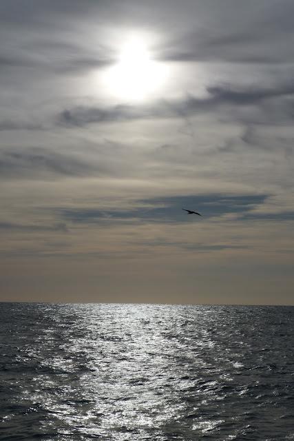 Le soleil et l'océan pour témoins...