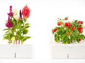 Design Maîtrise Nature Click Grow