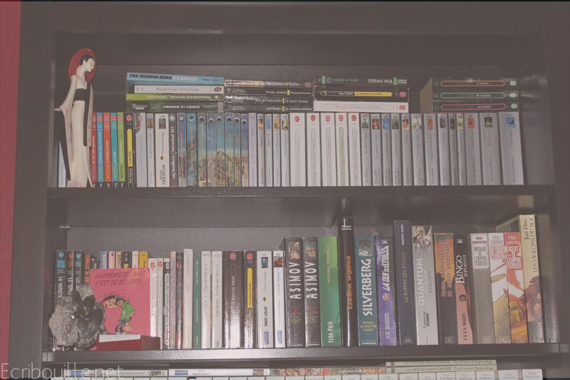 Ma bibliothèque éclectique