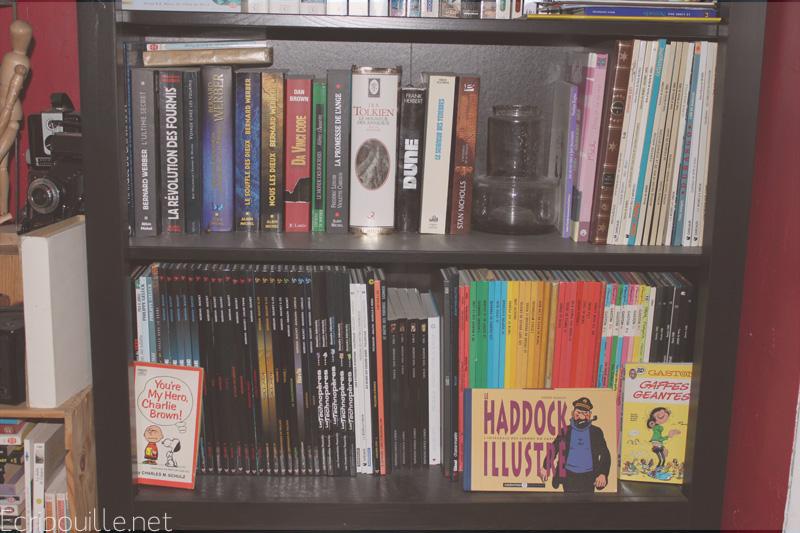 Ma bibliothèque éclectique